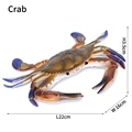 Crab