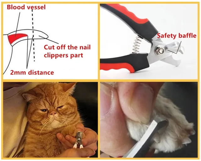 1 Pc Professional Pet Cat And Dog Nail Clippers Ergonomic Stainless Steel Grooming Scissors Pet Dog Claw Nail Repair Scissors 5