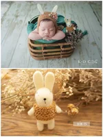 Newborn Photography Props Accessories Backdrop Animal Baby Toys Wool Mohair Infant Dolls Lion Bear Bunny Panda Studio Props 3