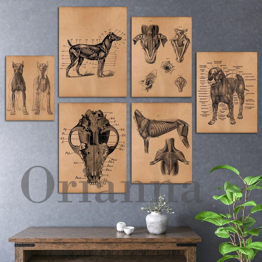 Vintage Dog Skeleton Wall Art 1