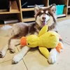 Hot dog sleeping with duck toys to relieve boredom of little yellow duck pet puppy interactive plush doll hug duck 3