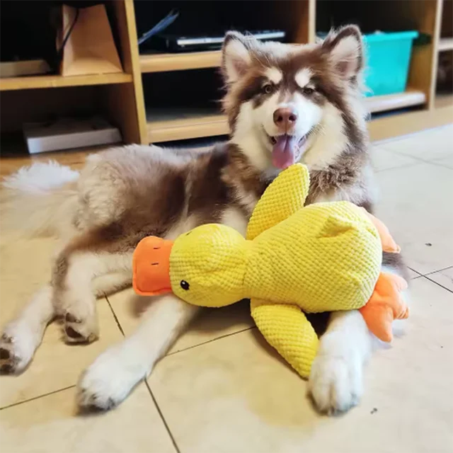 Hot dog sleeping with duck toys to relieve boredom of little yellow duck pet puppy interactive plush doll hug duck 3