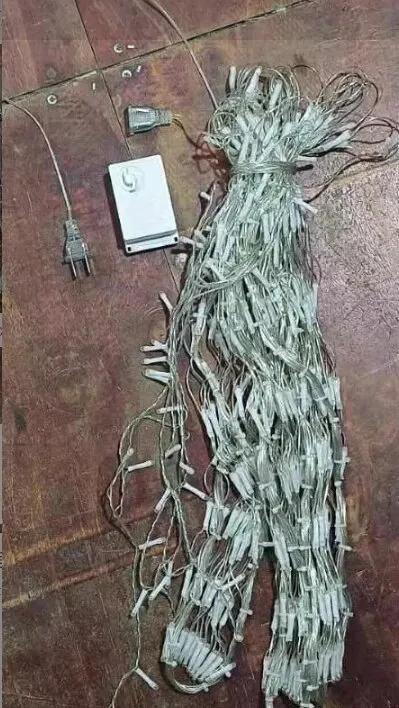 Açık Led örgü peri işık 3.2*0.6M tavuskuşu Net dize işık su geçirmez noel asılı Garland işık bahçe saçak dekor için