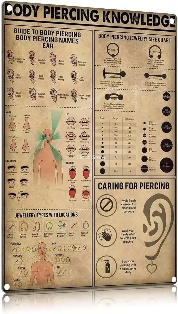 

Body Piercing Knowledge Human Body Systems Metal Tin Signs Human Anatomy Guide Posters Doctor's Office Knowledge Plaques
