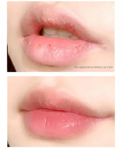 허니 프로폴리스 모이스처라이징 립밤, 립 마스크, 리페어 립스틱, 립 라인 페이드 케어, 각질 제거, 각질 제거, 메이크업 화장품 3