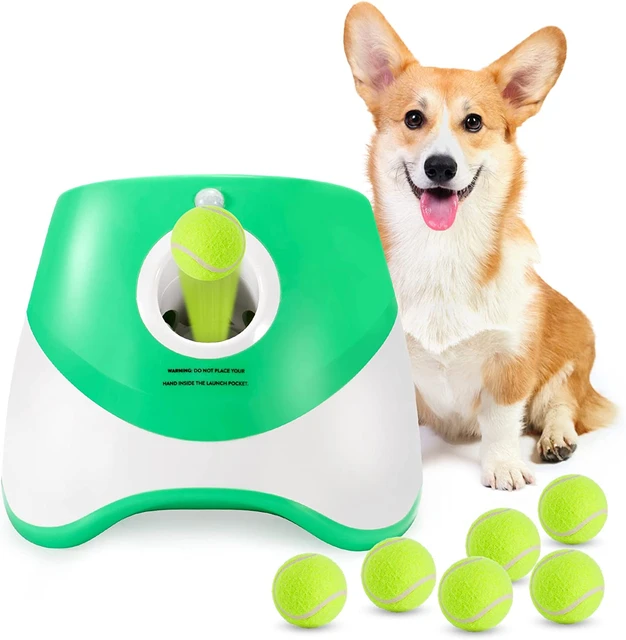 Machine à lancer de balle automatique pour chien, Rechargeable, amusant,  Tennis, lanceur de balle pour chiens de petite et moyenne taille, 3 balles  incluses - AliExpress