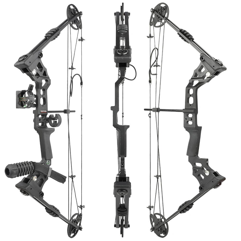 Adjustable Archery Compound Bow Set with 12 Carbon Arrows