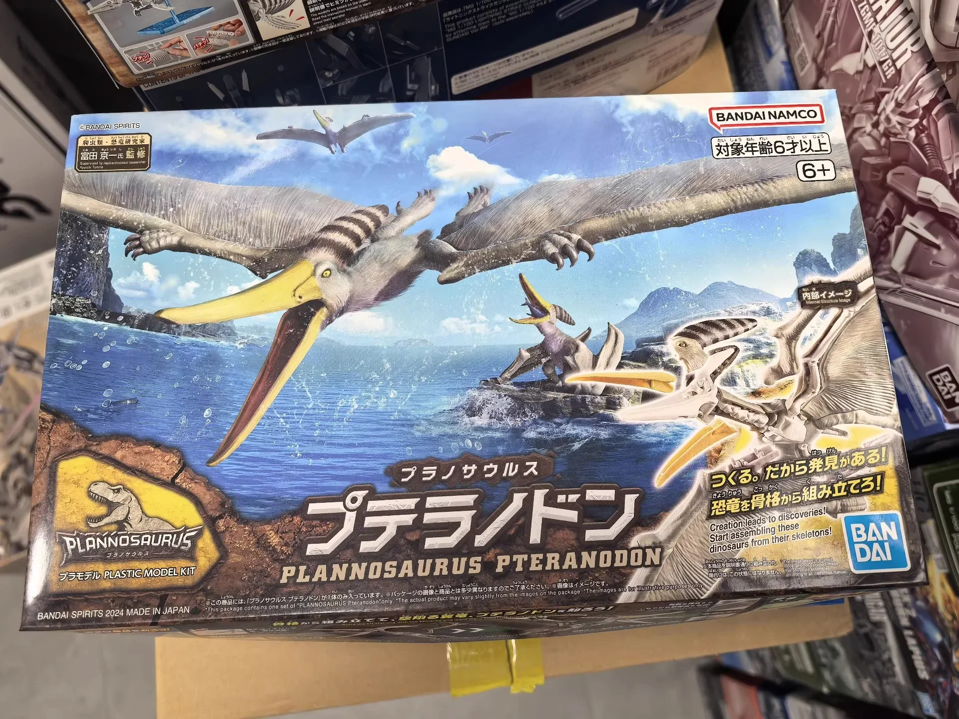 BANDAI PLANNOSAURUS דינוזואר פטרנודון גולם עצמות דגם צעצוע פלסטיק דגם קיט פטרודקטיל מתנת יומולדת לילדים