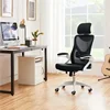 High Back Ergonomic Mesh Office Chair with Adjustable Padded Headrest, White/Black 6