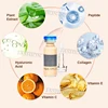 10 Pcs Korea BB Cream Glow Starter Kit Semi-Permanent Sunscreen Foundation Concealer Cream Moisturizer Facial Makeup Skin Care 3