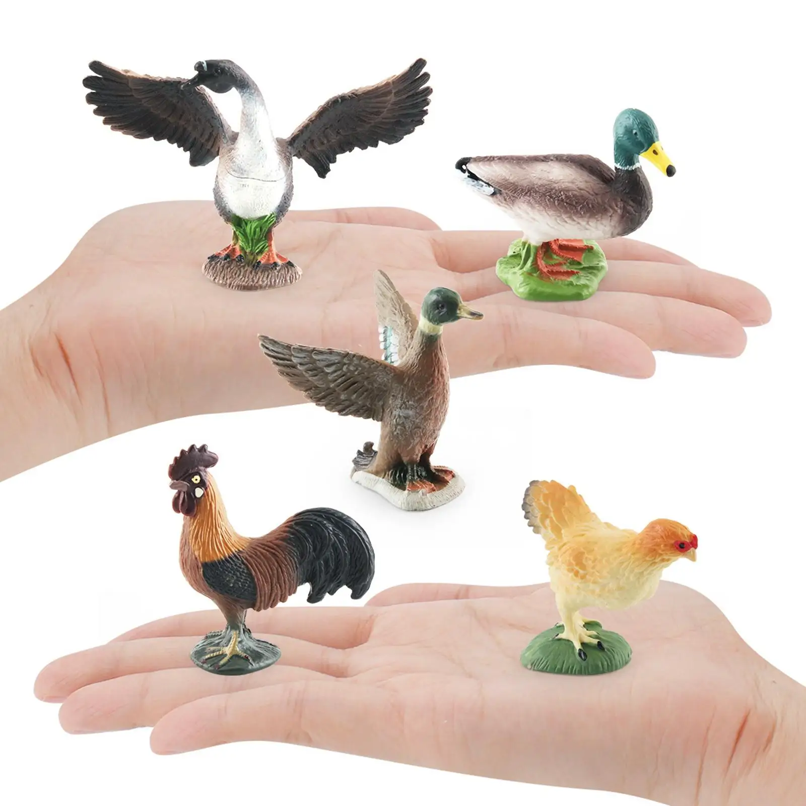 

5Pcs Poultry Playset Decorations Teaching Aids for Fairy Garden Sand Table