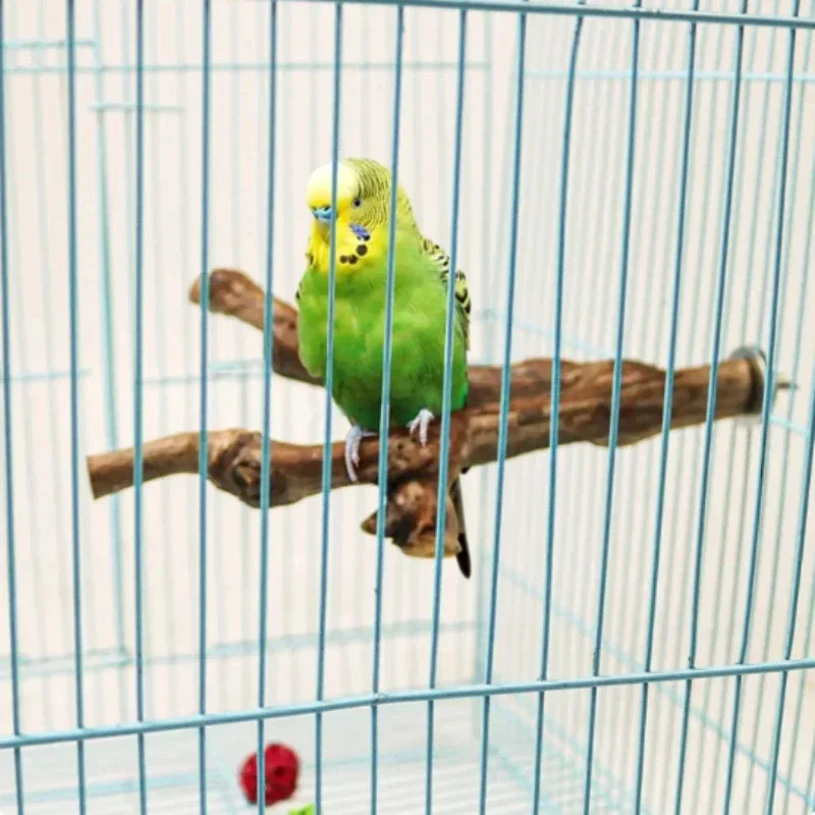 Pet Standing Stick 6