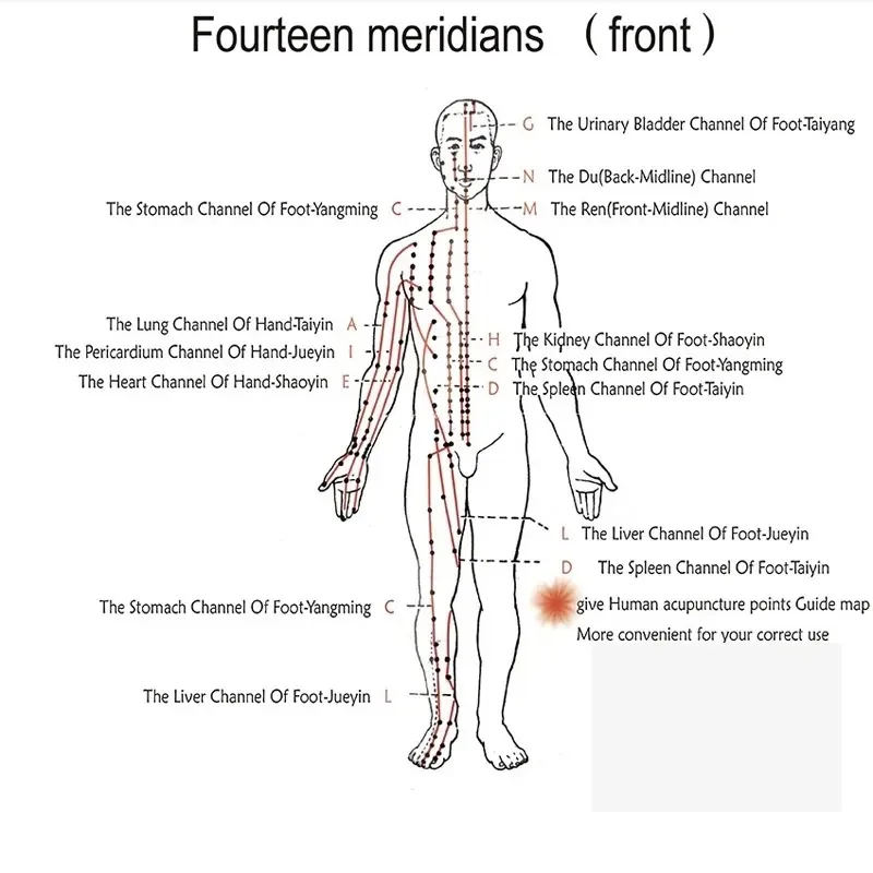 NEW Hwato SDZ III Electroacupuncture Nerve & Muscle Stimulator Therapy Physical Device 6 Channels Acupuncture Needle Treatment