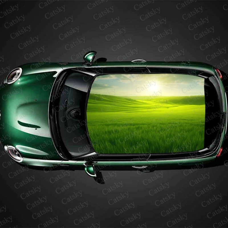 

Green Grass Field Car Roof Sticker Wrap Racing SUV Accessories Packaging Painted PVC Custom Car Graphic Decal