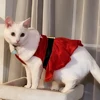 Christmas Pet Dresses Holiday Party Gifts Costume Santa Kitten Red Princess Skirt For Small Dogs Cats Sphynx Chihuahua Outfits 5