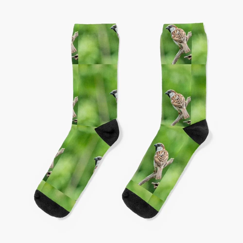 

Sparrow Bird Socks golf designer brand Socks Men Women's
