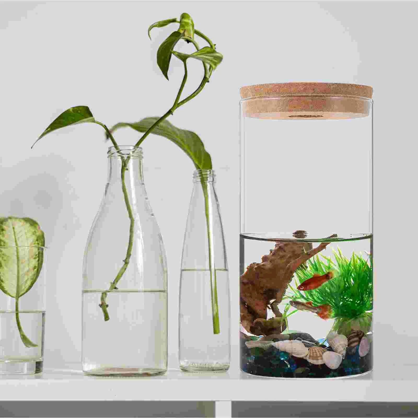 2 Pcs Fish Tank Terrarium Plants Florarium Glass Base Wood Dome for Flower Pots Vase 3