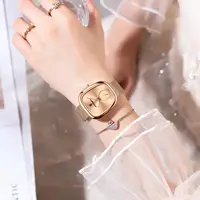 POEDAGAR Luxury Brand Woman Watch Waterproof Stainless Steel Mesh Women's Watches Fashion Elegant Quartz Ladies Wristwatch Reloj - Image 6