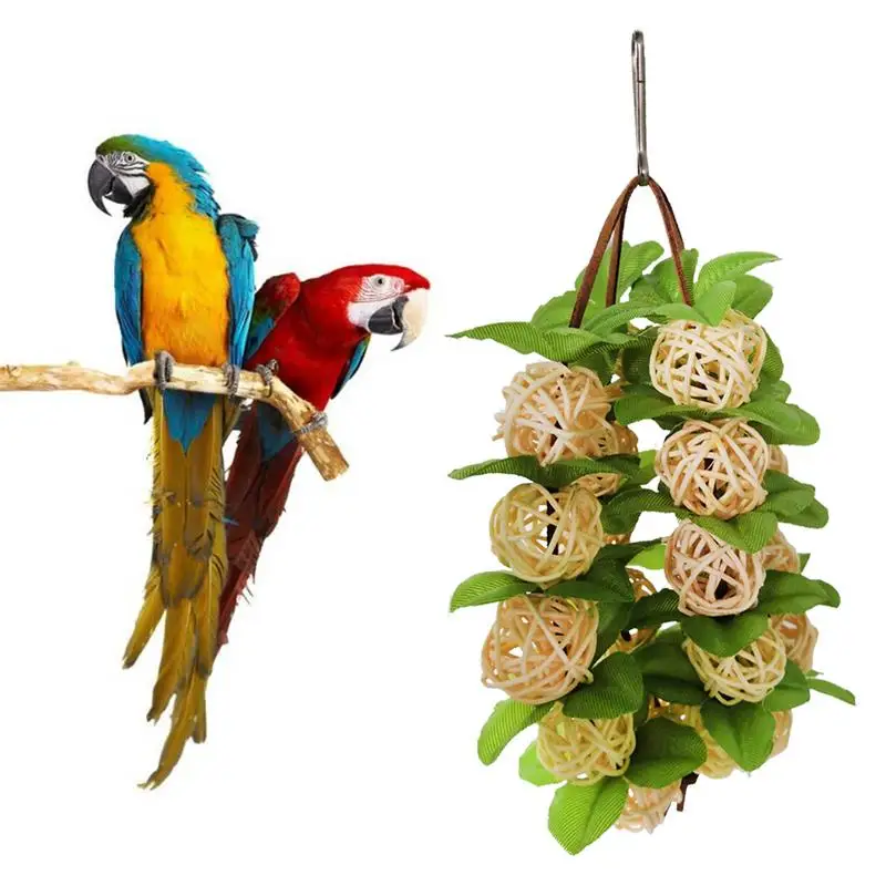 Balls Chewing Toys Bird Toy Parrot Parrot Parakeet Parakeets Toys
