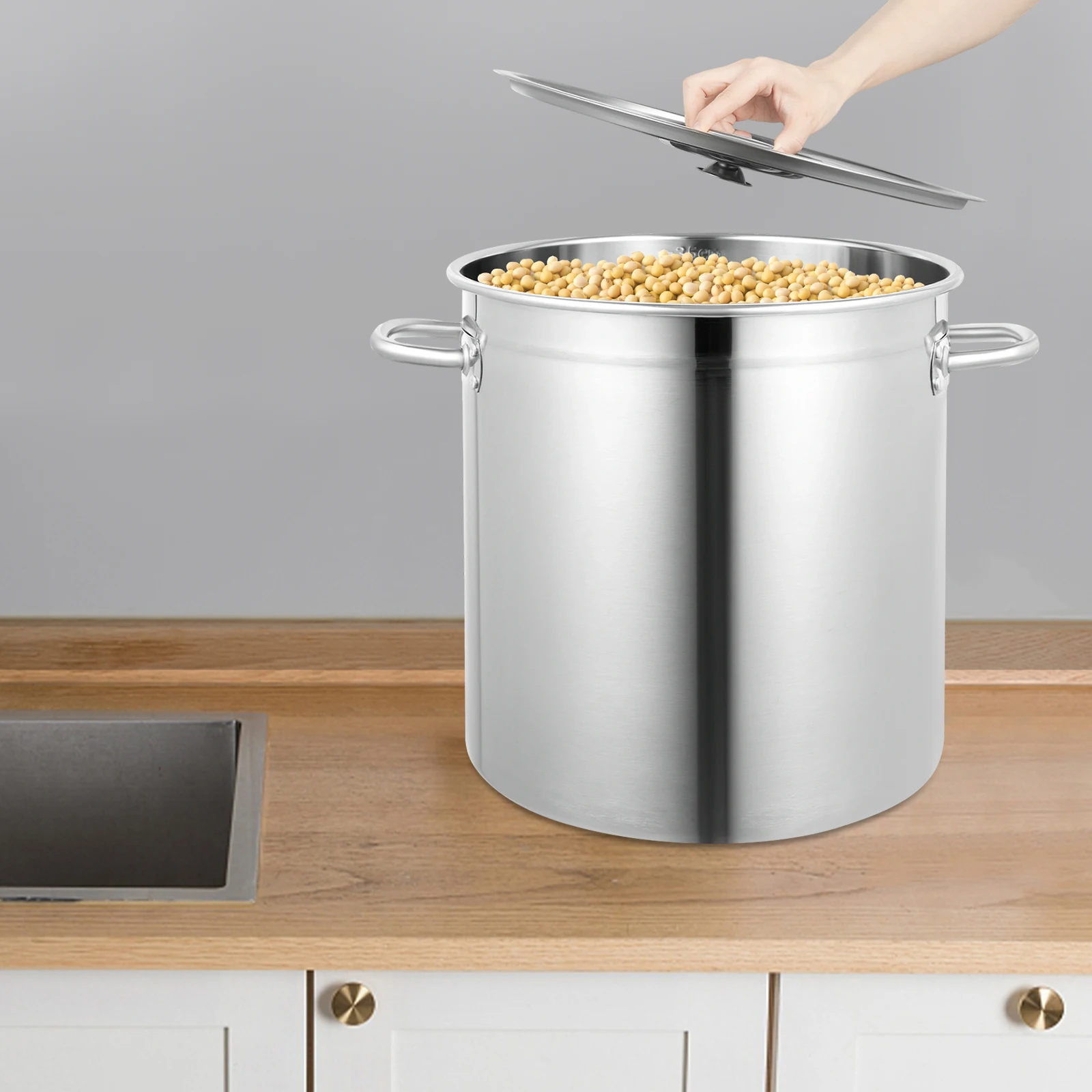 Stainless Steel Stockpot