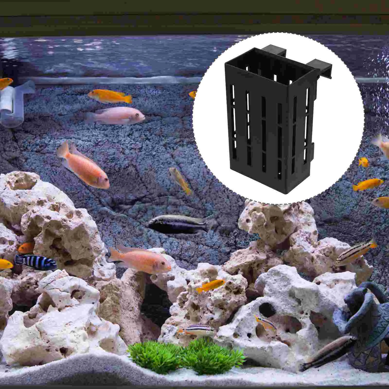 

Practical Plant Pot For Plants Aquatic Fish Tank Plant Holder Pot For Plants Aquarium Aquarium Hanging Plant Holder for Aquarium