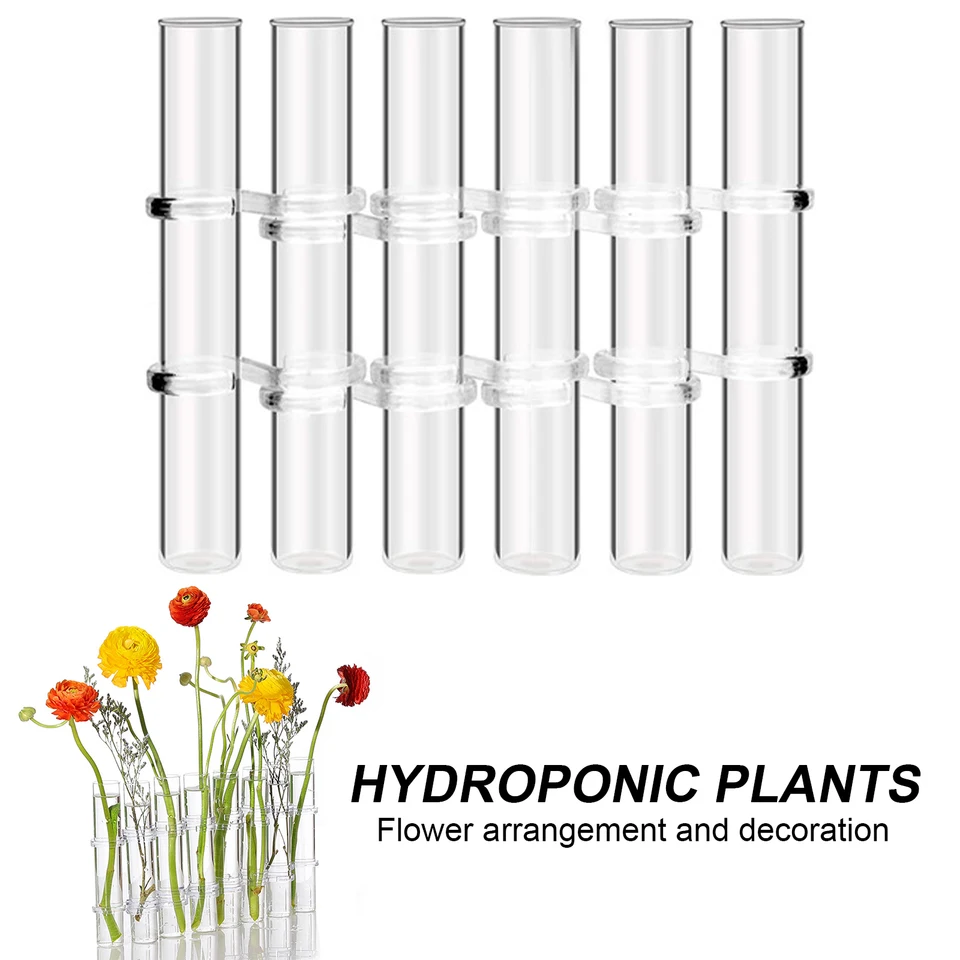 Unique 3/4 Tube à Essai En Verre Nervuré Vase Hydroponique Pour Plantes