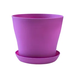 Vibrant Decorative Succulent Flowerpot - M 500ML (Purple)