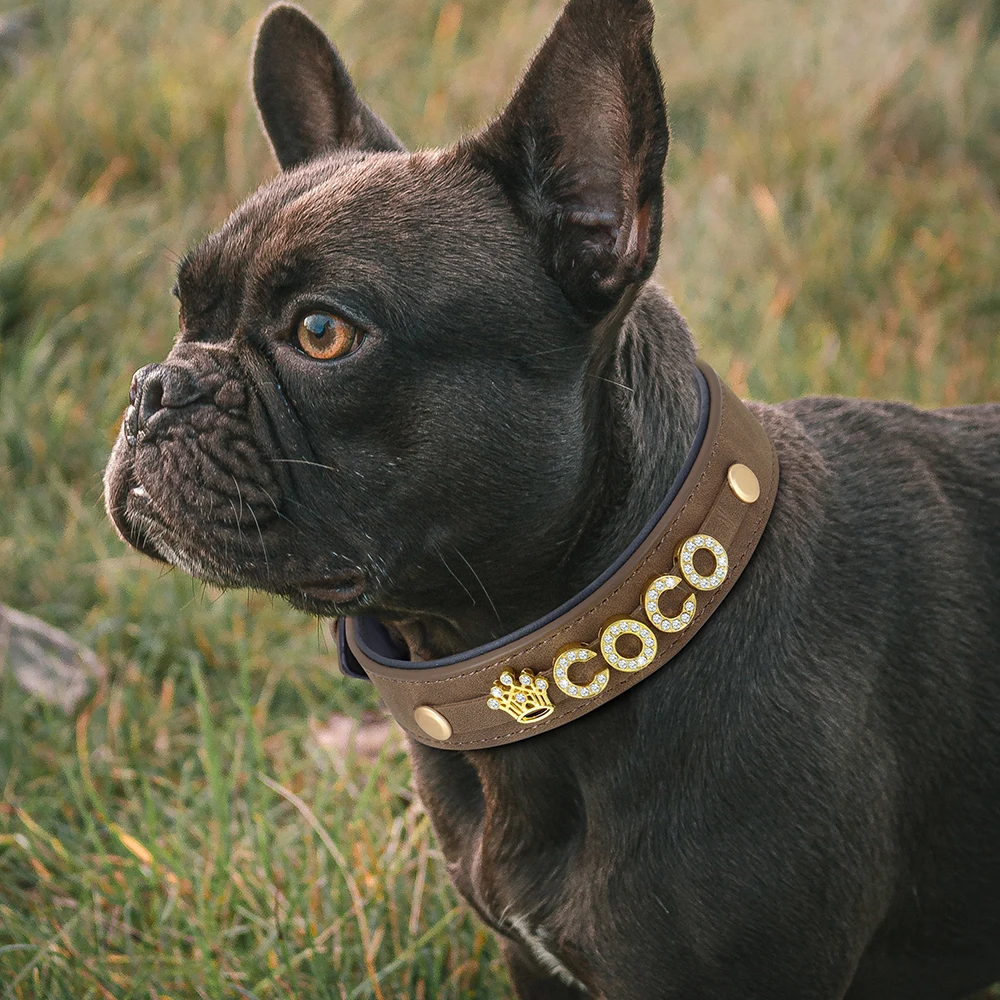 Faux Leather XS Rhinestone/Diamante Collar Dog Collars Personalized Dog Or Cat Collar With Rhinestone Name | Faux Leather, Adjustable | Choose Pet Name For A Sparkly, Custom Fit Leather Female Rhinestone/Diamante Collar