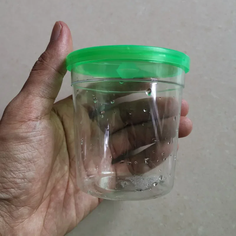 1 Pcs Magic Fish Hatching Cup Clear Transparent Container with Lid Plastic Experimental Observation Cup for Student Kid Boy Girl