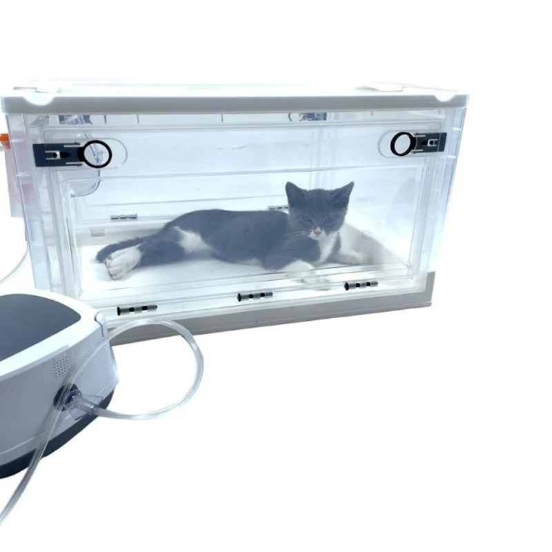 

Дышащая домашняя машина для ухода за домашними животными и кошками, устройство для распыления собак с защитой от царапин, оборудование для лечения домашних животных