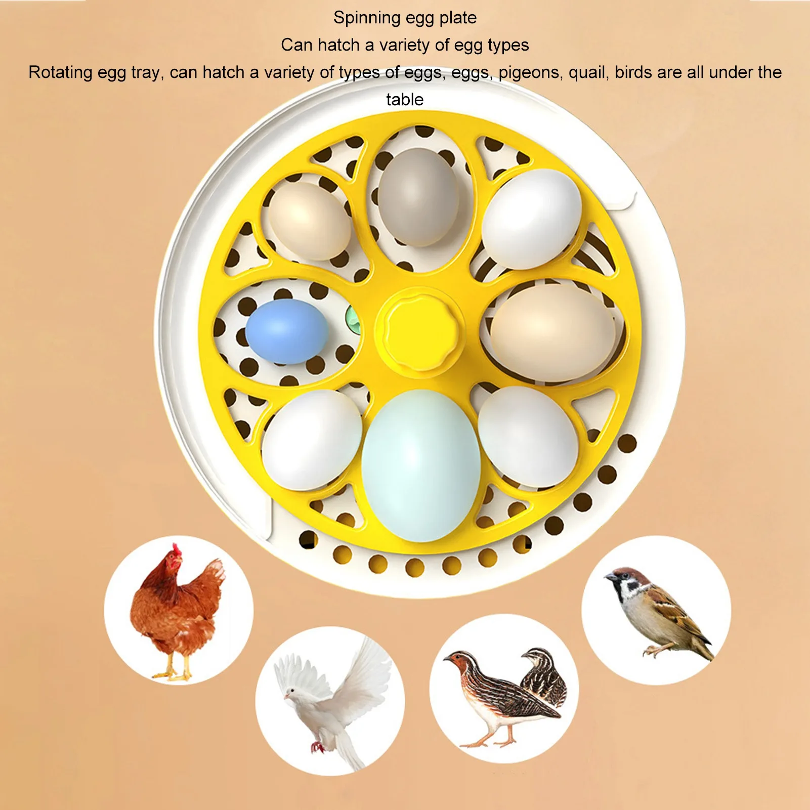 Egg Incubator Automatic Temperature Humidity Control Noiseless Poultry Hatching Machine with Insulation Foam for School egg incubator