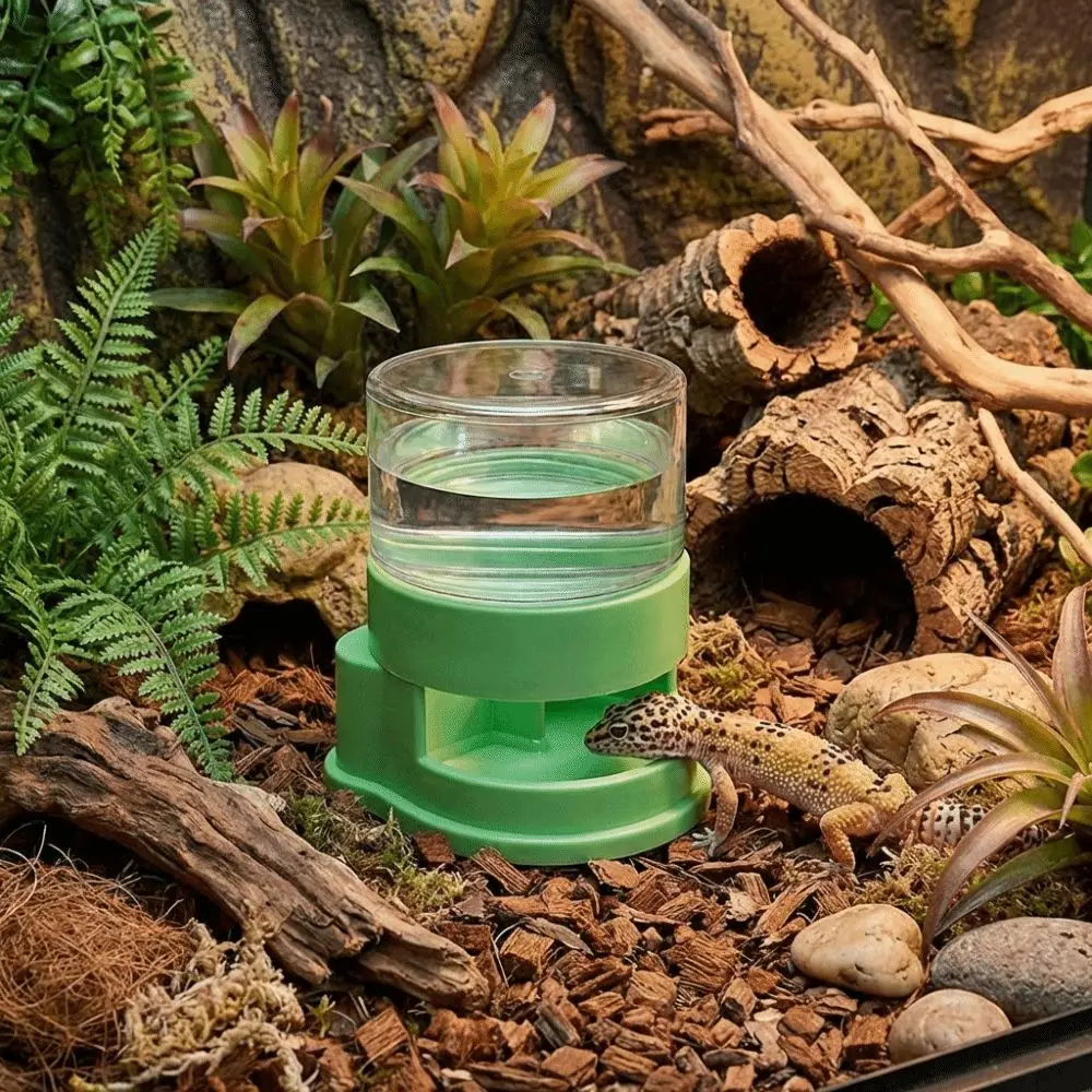 Reptile Automatic Water Dish 5