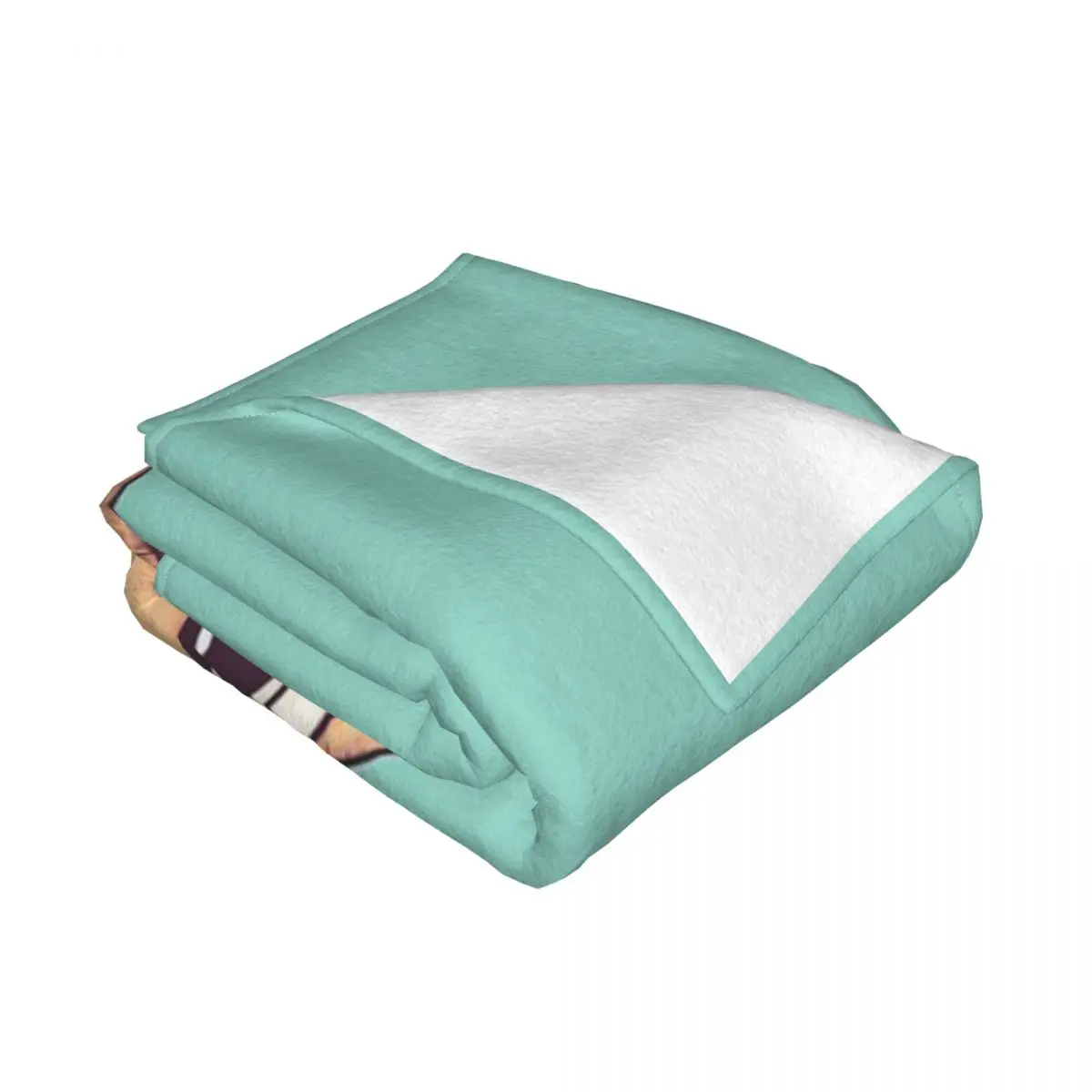 ���� �� ���, ħ�� �� ħ�뺸,  ���