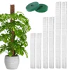 24/36/48 Inch Plastic Moss Pole for Monstera, Large D Shaped Poles Pot Climbing Plants Work Sphagnum Moss, Garden Growth Stake