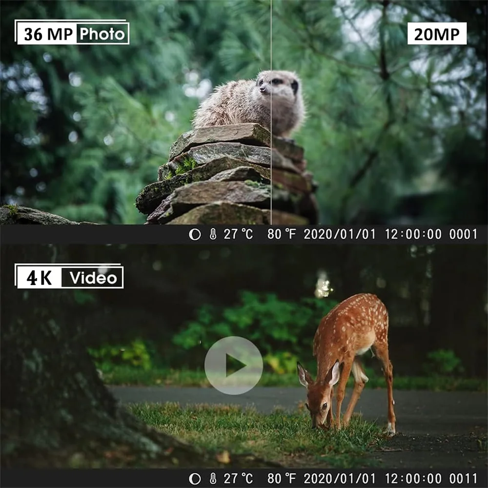 Mini Trail Camera 24MP 2.7K Game Hunting Night Vision 0.2s Trigger Time Motion Activated, IP65 Waterproof Wildlife Monitoring