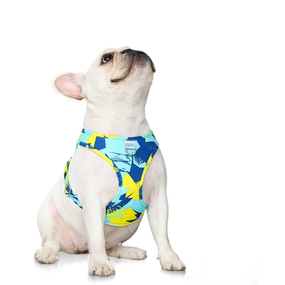 Adjustable Mesh Pet Harness with Leash for Small to Medium Dogs and Cats