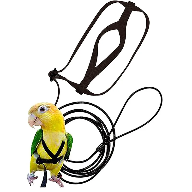 Parrot Bird Harness Leash Outdoor Activities Flying Traction Straps Band Flying Rope for Small Parakeets Cockatiels Bird
