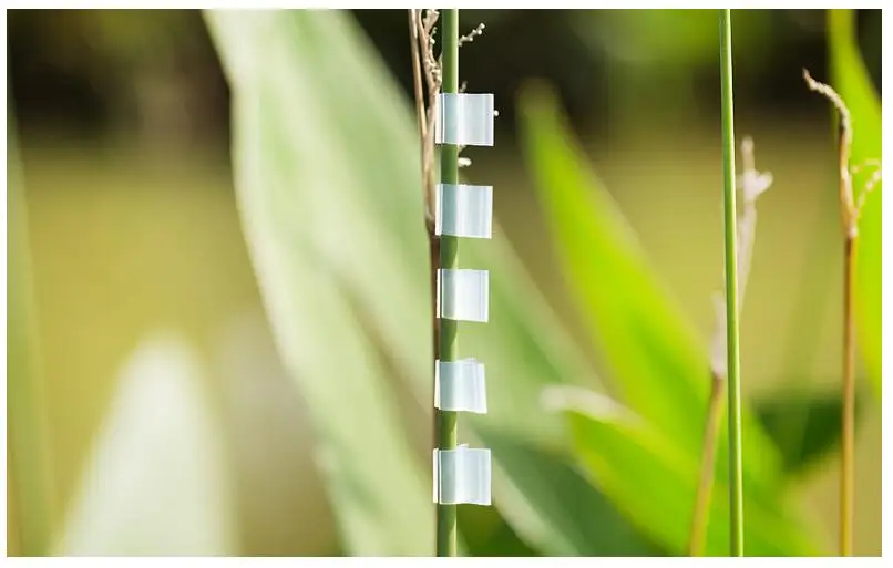 S690bb1dd9e60479f9bcaf0f43c968007m