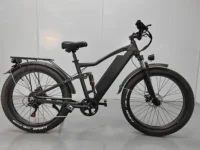 STLF DZ WJW vélo électrique avancé gros vélo de montagne pas cher 26 pouces gros pneu Ebike vélo électrique usine 6