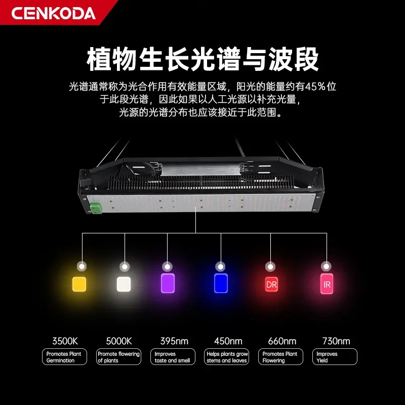 실내 식물용 LED 성장 조명, 풀 스펙트럼 야채 블룸, 3 가지 모드 타이머, 리모컨 식물 조명, 모종 시작