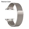 Titanium color