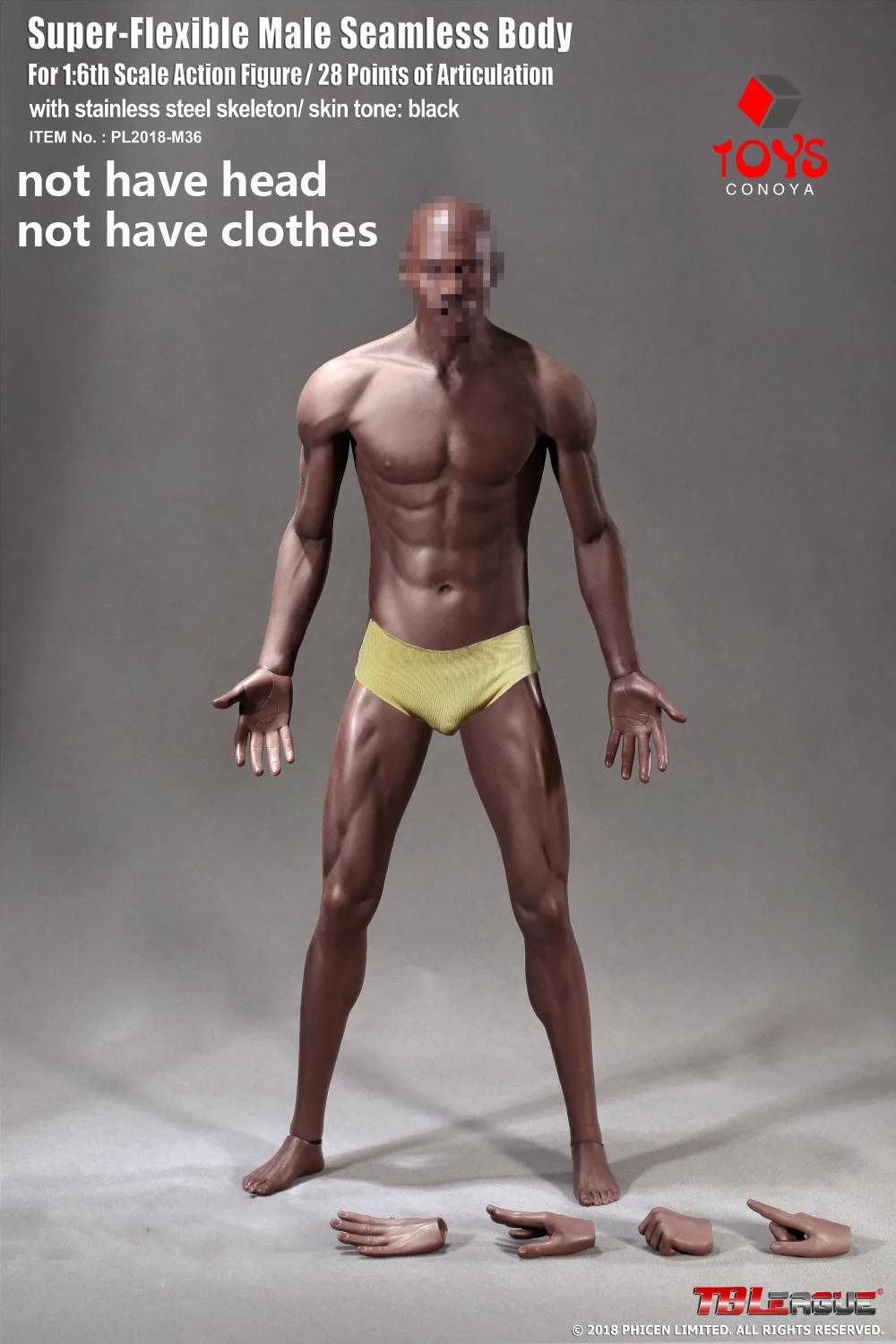 TBLeague(PHICEN/ファイセン) シームレス男性素体 PL2016-M33 難有り