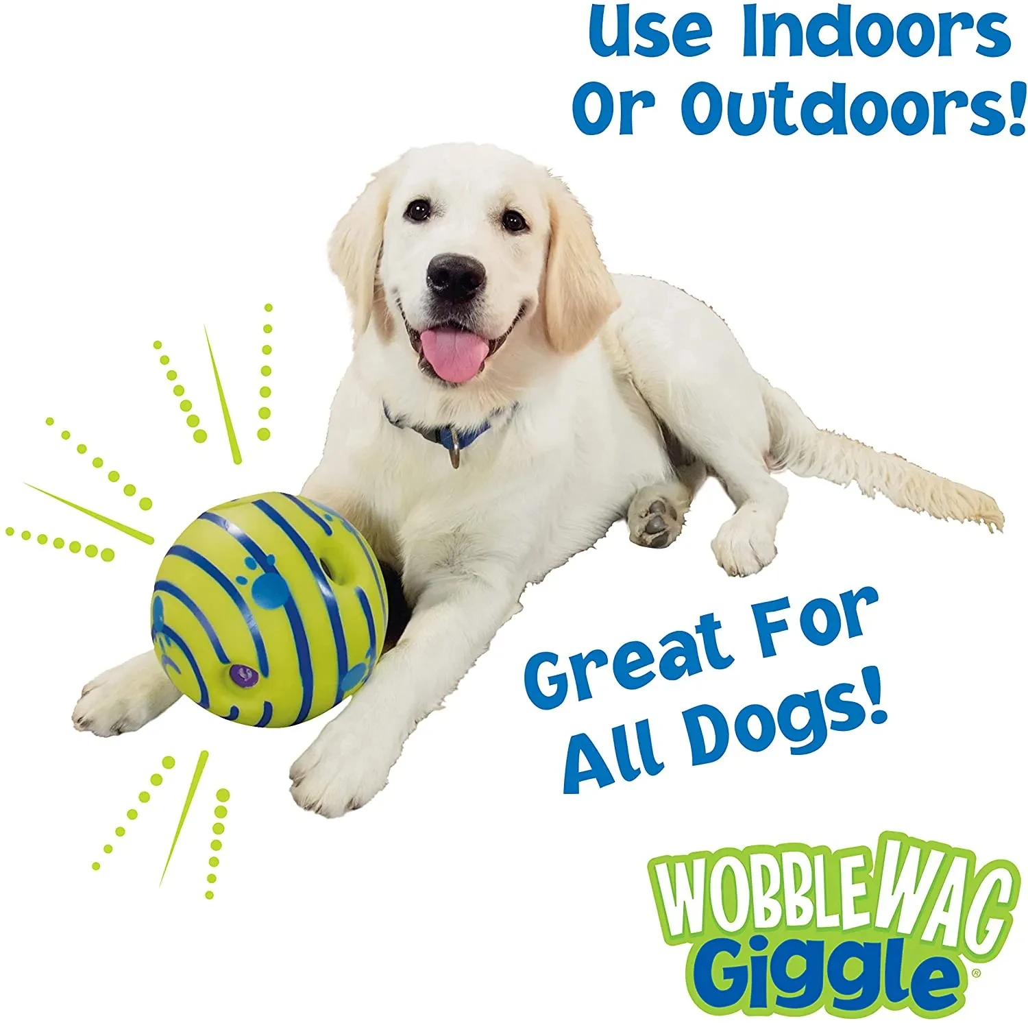 Wobble Wag Giggle Glow Ball 6