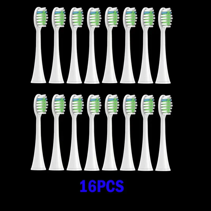 16P P1
