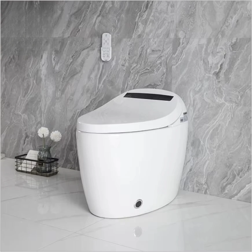 Intelligent Bidet Toilet Seat