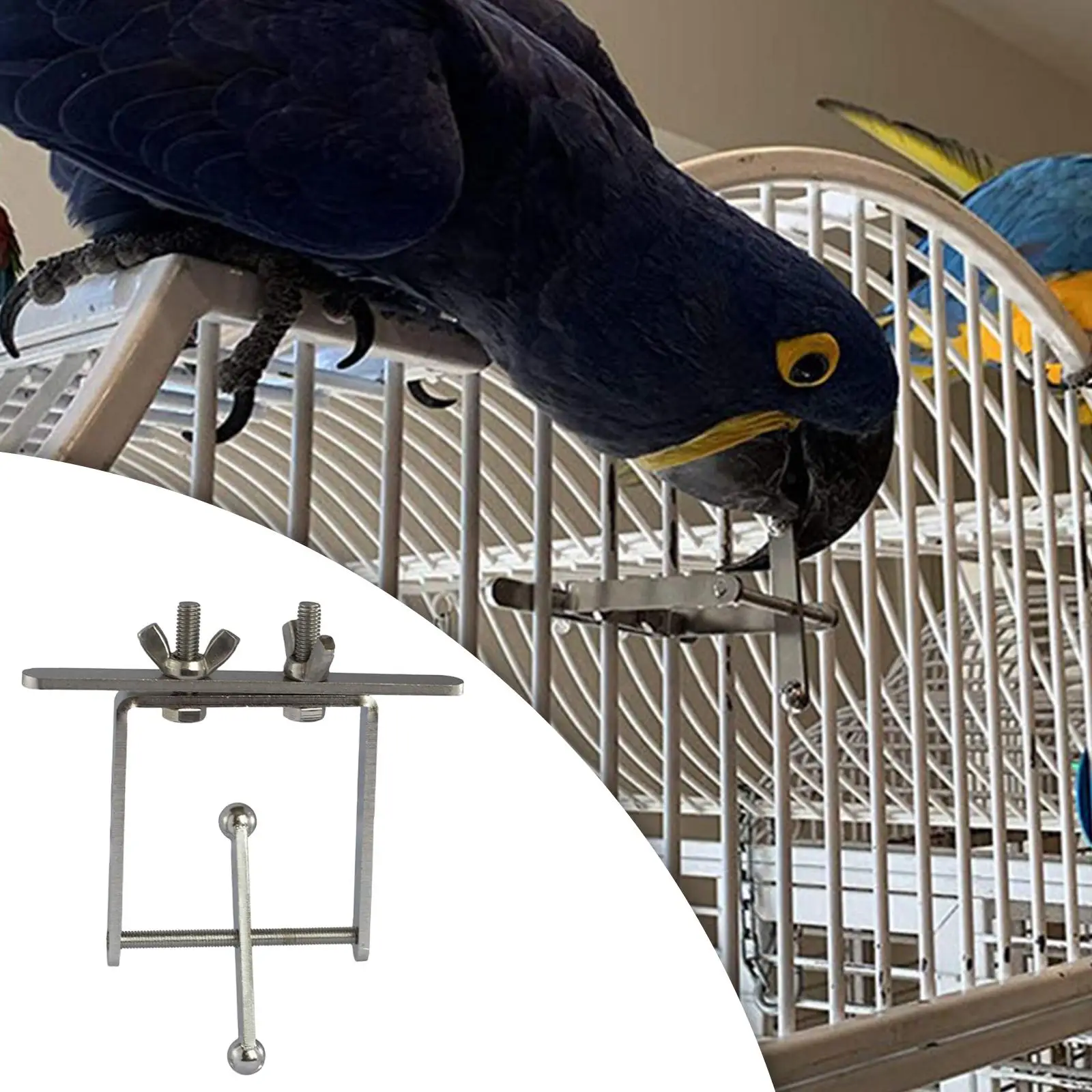 Stainless Steel Toy Brain Teaser Parrot Bird Chewing Toys for Cockatiels Cockatoo Medium to Large Birds Lovebird