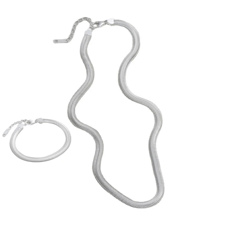 

Botoho Pure S925 Silver 6mm Wide Snake Chain Choker Necklace Bracelet For Women Trendy Hiphop Simple Plain Silver Jewelry Sets