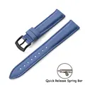 Light Blue-Black