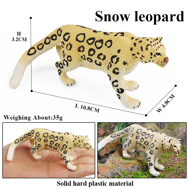 animals model