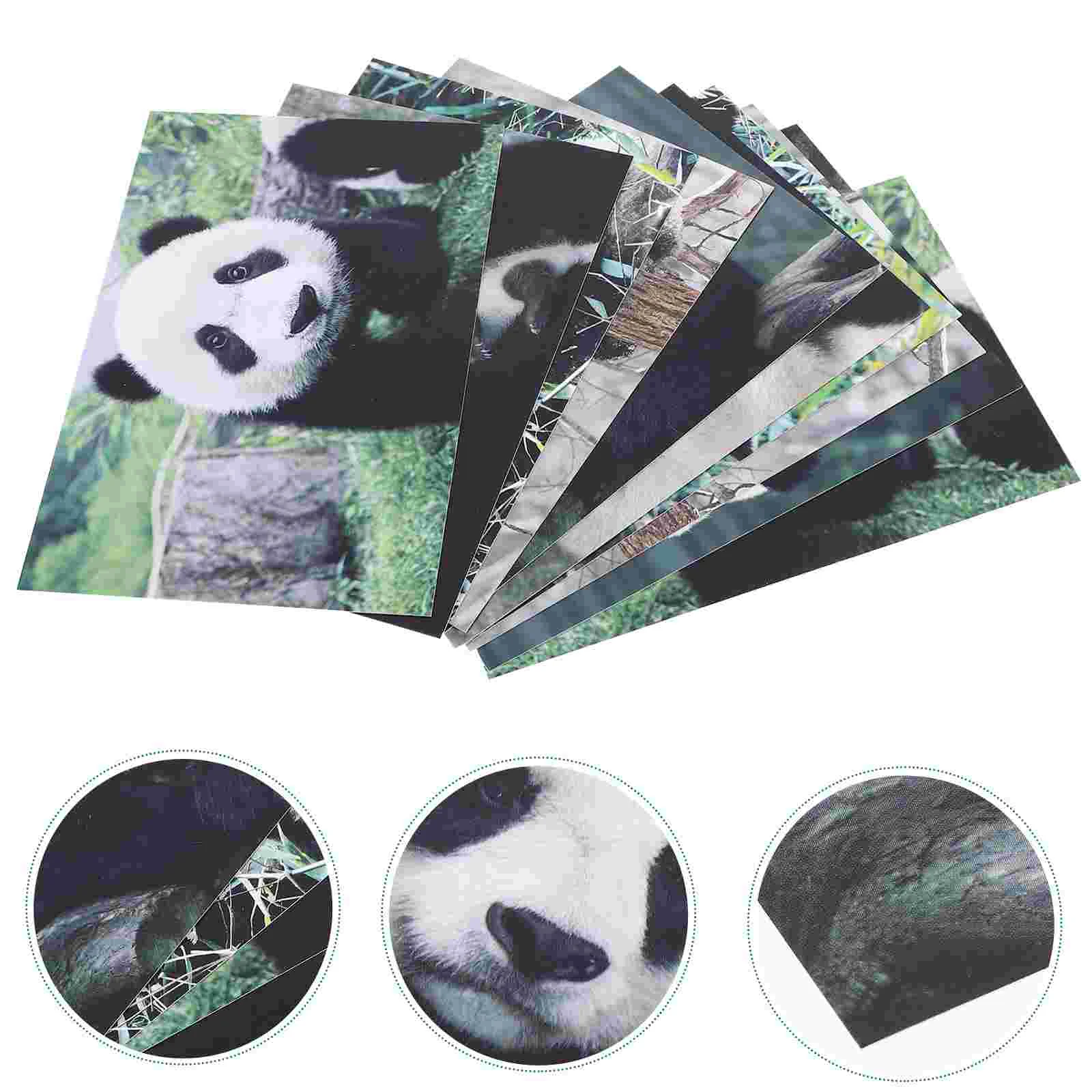 10pcs Adorable Pandas Postcards Animal Photography Series Postcard Great for Baby Showers Thanksgiving Gift